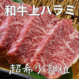 特選 和牛 上ハラミ(1人前100g〜) 化粧箱 送料無料 小分けパック 宮城県産 ギフト 肉ギフト 贈り物 誕生日プレゼント 父の日 母の日 お祝い 内祝い 高級 敬老の日 お歳暮 お取り寄せ バーベキューお家焼肉 おうちごはん 冷凍配送 高級牛肉 黒毛和牛 国産牛 牛肉 はらみ
