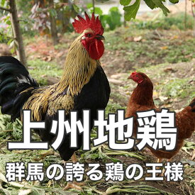 モモ塩だれ(1人前100g〜) 上州地鶏 純国産 希少部位 送料無料 ブランド鶏 ギフト 肉ギフト 贈り物 誕生日プレゼント 父の日 母の日 お祝い 内祝い 高級 敬老の日 お歳暮 お取り寄せ バーベキューお家焼肉 おうちごはん 冷凍配送 高級 鶏肉 鳥 群馬県 地鶏 銘柄鶏 国産