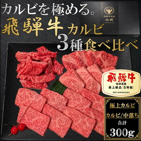 飛騨牛 焼肉セット 300g カルビ 3種盛 贈答 食べ比べ 極上カルビ カルビ肉 中落ちカルビ A5 牛 ギフト 飛騨牛ギフト 焼肉用牛肉 肉詰め合わせ お肉セット 焼肉カルビ 黒毛和牛セット 高級肉 a5ランク 和牛 焼肉だれ 岩塩 化粧箱 冷凍 内祝い 御祝い 誕生日 贈答用 秋ギフト