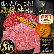 【ポイント5倍!!~10/17 9:59限定!!】飛騨牛 焼肉セット 450g 三種盛 ギフト 極上 カルビ 赤身 カメノコ …