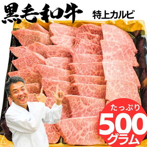 ē o[xL[ Zbg  a Opo Jr 500g ~ Jr 5lO ` 6lO A5  BBQ ^t ȈՕ ~ Y  Ă Mtg  O Hו 
