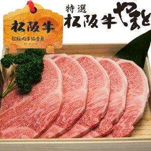 Ε Ε Mtg  ㋍  Xe[L T[C Xe[L 200g 5 2025 N v[g  a lC ʔ a ⋍ Hו Xe[LZbg   Ⓚ j j 