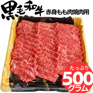Ԑg  ē  ^t 500g 5lO ` 6lO Zbg o[xL[  a ȈՕ a5    BBQ Y Ă [X Mtg Hו   ē ㋍ ܂