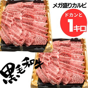 ē Zbg  a 1L 8lO ~ 10lO ^t yȈՕz o[xL[ BBQ   Y a5  Ă  O Hו  Mtg