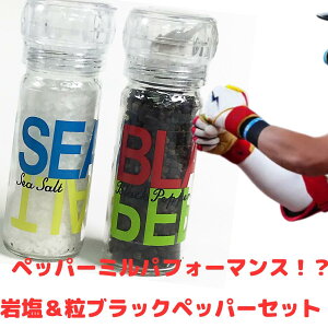 a   j yp[~ \g~ ~t k[go[  RVE Zbg ㋍   Xe[L T_  ō ≖ RVE 1{Zbg v2{ ō̒