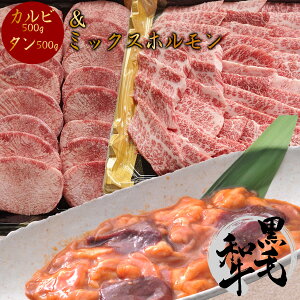 Mtg ē Hה Zbg K Ղ 10lO ~ 12lO јa Jr 500g + ؂ ^ 500g ~bNXz300g ^ ^t   ؂ 荇킹 