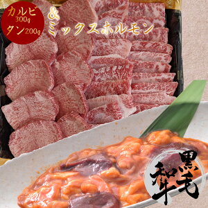 ē Zbg Jr 300g + ؂ ^  p 200g 4lO ~ 5lO 500g  ~bNXz300g S800g o[xL[   BBQ ȈՕ BBQ bbq  a A5 ^t Ԑg  Ă Ă