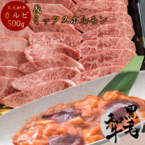 ē Zbg o[xL[ BBQ Oo Jr 500g 5lO ` 6lO ~bNXz300g  a  a5 Y BBQ ^t ȈՕ Ă  Hו