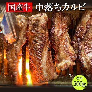 YJr v500g 250g×2pbN Jr Y Jr Jr   Ε Mtg ē Ă ₫ɂ ₫ BBQ o[xL[ Lv  ܂ 
