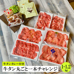 ^ۂƈ{`W 1kg  Ε Mtg ē BBQ o[xL[  ܂ Ⓚ ^ 1{ {