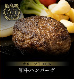 和牛ハンバーグ 10個セット お肉セット オリーブ牛 黒毛和牛 高級ハンバーグ 煮込みハンバーグ 高級肉 ギフト ハンバーグステーキ 冷蔵 牛ハンバーグ デミグラス セット おかず 温めるだけ 高級グルメ牛肉 詰め合わせ 個包装 お取り寄せグルメ プレゼント 高級 送料無料