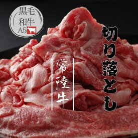 国産｜黒毛和牛・焼肉屋厳選【うし雅】A5ランク常陸牛切り落とし 500g　【プレゼント・ギフト・贈り物・お歳暮・パーティー・親せきや家族の集まり・自分へのご褒美・お祝い・宅飲み・ホームパーティー・豪華】