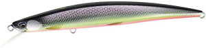 �f���I(Duo) �S�� ���e(ONIMASU MASAKAGE) SLIM 120F ASA4532 ����(���났��)
