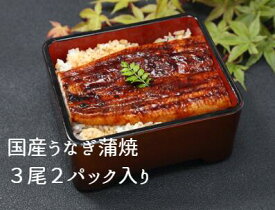 【1月7日～1月16日11：59まで25％OFF】国産　うなぎ蒲焼　送料無料　ギフト　約70gうなぎ蒲焼　セット　3尾入り　2パック　鰻　お歳暮　お土産　贈り物　ご褒美　グルメ　国内製造　送料無料　熊本県産　愛知県産