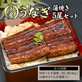 【1月7日～16日11：59まで25％OFF】国産　送料無料　うなぎ蒲焼　約110g5尾セット うなぎ　蒲焼　お土産　国産鰻　お取り寄せ　贈り物　送料無料　食品　熊本県産　愛知県産　お祝い　快気祝い　土用の丑