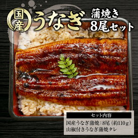 【1月7日～16日11：59まで25％OFF】国産　うなぎ蒲焼　送料無料　約110g　うなぎ蒲焼8尾！　大ボリューム　セット　鰻　お土産　冷凍うなぎ　贈り物　お取り寄せ　　鰻蒲焼　国内産　国内製造　熊本県産　愛知県産　お祝い　土用の丑
