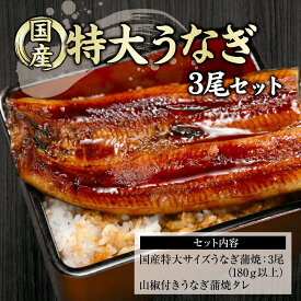 【1月7日～16日11：59まで25％セール】国産　送料無料　ギフト　特大うなぎ蒲焼　約180g3尾　セット　うなぎ　蒲焼　お土産　国産鰻　深蒸し　お取り寄せ　特大　贈り物　プレゼント　内祝い　熊本県産　愛知県産　土用の丑