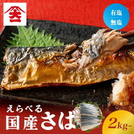 ＼クーポン利用で半額 1kg 2,090円／〈無塩＆無塩〉訳あり 骨取り 国産 さば（選べるサイズ2kg～10kg）｜…