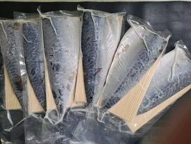 しめさば　訳あり　しめさば6枚セット　訳あり　ちょいキズ　しめさば　少しのキズ　大きなサイズ　プレゼント　ギフト　国内産　真鯖　冷凍品　国内製造　数量限定