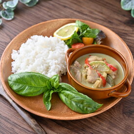 グリーンカレー 計14食（100g×2食×7袋） 冷凍 タイカレー カレー お取り寄せ 惣菜 お惣菜 タイ料理 多国籍料理 冷凍 簡単 時短 簡単調理