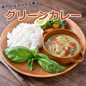 グリーンカレー（100g×2食） 冷凍 タイカレー カレー お取り寄せ 惣菜 お惣菜 タイ料理 多国籍料理 冷凍 簡単 時短 簡単調理
