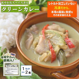 グリーンカレー（100g×2食） 冷凍 タイカレー カレー お取り寄せ 惣菜 お惣菜 タイ料理 多国籍料理 冷凍 簡単 時短 簡単調理