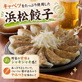 ＼ケンミンショーで紹介されました！／五味八珍 浜松餃子セット 84個(14個×6袋) 餃子 ギョーザ 冷凍食品 送料無料 冷凍餃子 中華 惣菜 業務用 ぎょうざ お取り寄せ グルメ ギフト 食品 ケンミンショー お取り寄せグルメ テレビ 母の日　父の日静岡県
