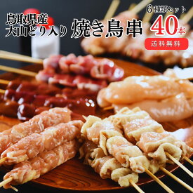 [生串] 焼き鳥 冷凍 鳥取県産 大山どり入り 人気焼き鳥串セット 6種 40本セット 塩・タレ付き お取り寄せ 焼鳥 焼き鳥 やきとり 冷凍焼き鳥 業務用 セット