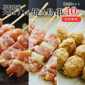 [生串] 焼き鳥 冷凍 鳥取県産 大山どり もも串入り 定番 焼き鳥 3種 40本セット 塩・タレ付き お取り寄せ 焼鳥 焼き鳥 やきとり 冷凍焼き鳥 業務用 セット