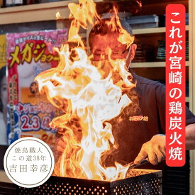 みやざき地頭鶏 もも炭火焼【冷蔵 真空パック 1キロ】業務用 送料無料 キャンプ 病院食 惣菜 スーパー 弁当 かみやすい地鶏 冷蔵 鶏炭火焼き 地鶏炭火焼 炭火 鳥の炭火焼き 地鶏