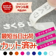 2025年受賞店舗【最短当日発送】 カット済 計40枚 高レビュー 簡単接着 強力洗濯耐性 送料無料 フロッキ…
