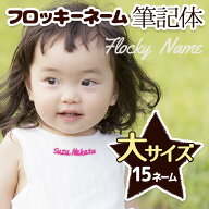 【最短当日発送】筆記体 フロッキーネーム 大サイズ 3色セット 15ネーム お名前シール アイロン 送料無料…
