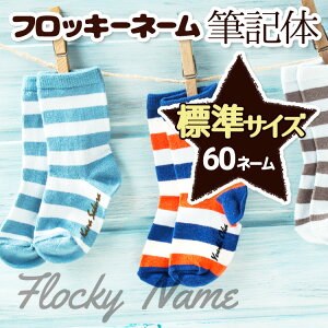 yŒZzO tbL[l[ ML  V[ Ȃ܂ W AC 3F 60l[ OV[  nhCh ACV[ tbL[  w  