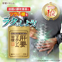 楽天市場】肝要マキシムの通販