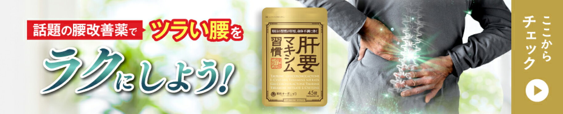肝要マキシム｜腰痛｜膝痛
