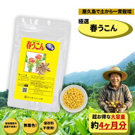 屋久島 春ウコン 1200粒 約4ヶ月分 屋久島 大容量お得 ウコン ワイルド　ターメリック サプリ 粒 錠剤 粉…