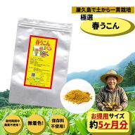 屋久島 春ウコン粉末 500g 約5ヶ月分 【屋久島 ウコン 創業30年】