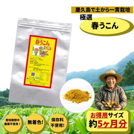 屋久島 春ウコン粉末 500g 約5ヶ月分 【屋久島 ウコン 創業30年】