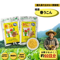 ＼スーパーSALE　20%OFF／ 屋久島 春ウコン 粒 300粒 2個セット 約2ヶ月分 【ウコン 】