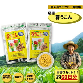 屋久島 春ウコン 粒 300粒 2個セット 約2ヶ月分 【ウコン 】