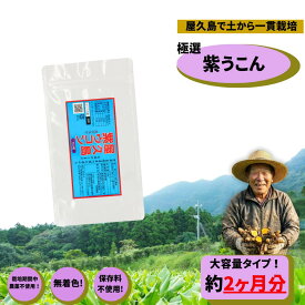 屋久島ガジュツ(紫ウコン)粒 600粒 約2ヶ月分　屋久島 ウコン　紫　ガジュツサプリ　ウコン　サプリ　健康食品　クルクミン　アズレン　カンファー　秋ウコン　春ウコン　粒　サプリ