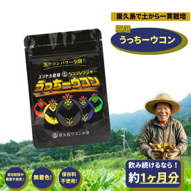 ウコン 屋久島 うっちーウコン 粒 300粒 約1ヶ月分 創業30年