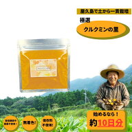 クルクミンの里 カレー　料理のスパイスに　クルクミン　スパイス　ウコン　ターメリック　秋ウコン　ク…