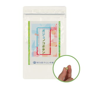 �E�R�� ���v���@�K�W���m�R�{�^���@���@100���@��20�����y�K�W���c �m�R�M�����V�@�{�^���{�E�t�E