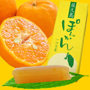 ����r� ���v���ۂ񂩂�