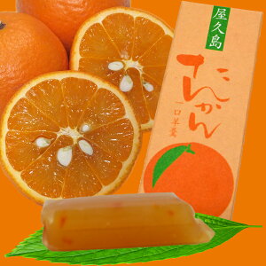 ����r� ���v�����񂩂�