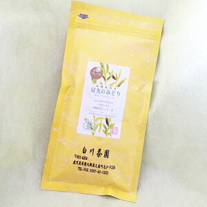  V L@͔| v݂̂ǂ 100g 쒃