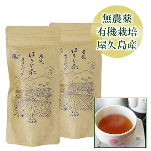 yGg[&3_wP10{z L@ v ق eB[obO 40g(2g 20) S L@ _Ɛiψ  _ L@͔| JAS F [M 1/1]