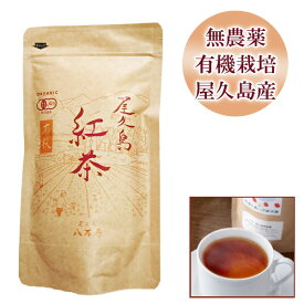 屋久島 有機紅茶 リーフ ティー 60g【 全国 有機 農業推進委員会会長賞 受賞 無農薬 有機栽培 国産 JAS 認定 】 [M便 1/1]