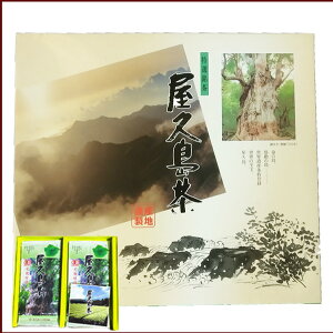 v  Mtg 2܃Zbg S L@ _Ɛiψ  _ L@͔| JAS F